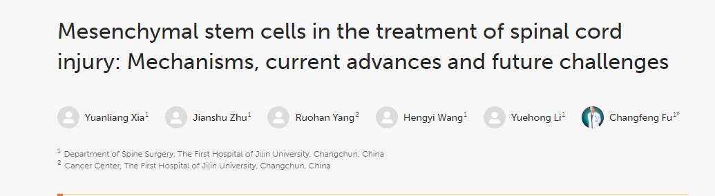 間充質(zhì)干細(xì)胞治療脊髓損傷：機(jī)制、當(dāng)前進(jìn)展和未來挑戰(zhàn)