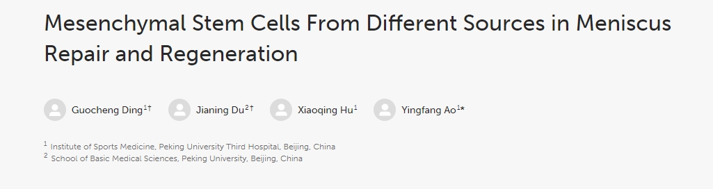 不同來源的間充質干細胞在半月板修復和再生中的作用