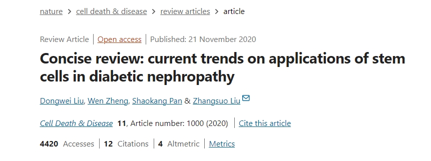 簡(jiǎn)述:干細(xì)胞在糖尿病腎病中的應(yīng)用現(xiàn)狀 簡(jiǎn)述:干細(xì)胞在糖尿病腎病中的應(yīng)用現(xiàn)狀