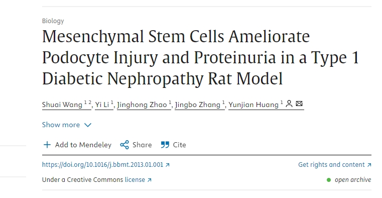 間充質(zhì)干細(xì)胞改善1型糖尿病腎病大鼠模型中的足細(xì)胞損傷和蛋白尿 間充質(zhì)干細(xì)胞改善1型糖尿病腎病大鼠模型中的足細(xì)胞損傷和蛋白尿