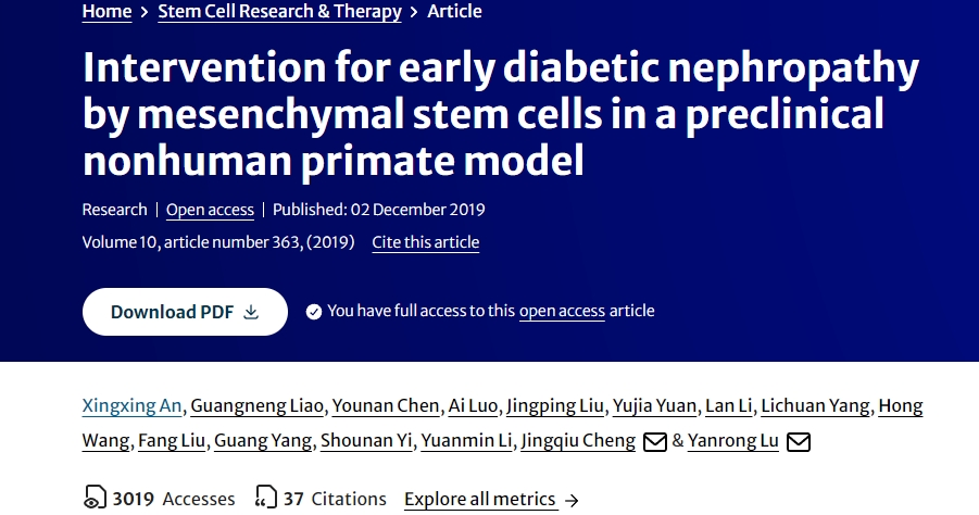 間充質(zhì)干細(xì)胞在臨床前非人類(lèi)靈長(zhǎng)類(lèi)動(dòng)物模型中對(duì)早期糖尿病腎病的干預(yù) 間充質(zhì)干細(xì)胞在臨床前非人類(lèi)靈長(zhǎng)類(lèi)動(dòng)物模型中對(duì)早期糖尿病腎病的干預(yù)