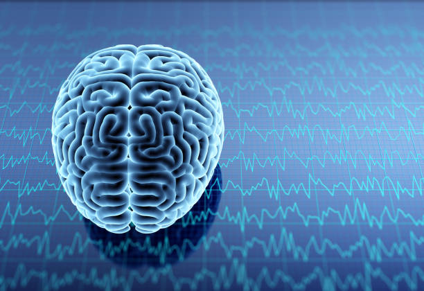 胚胎、神經(jīng)、誘導(dǎo)多能、間充質(zhì)干細(xì)胞治療神經(jīng)系統(tǒng)疾病的研究進展 胚胎、神經(jīng)、誘導(dǎo)多能、間充質(zhì)干細(xì)胞治療神經(jīng)系統(tǒng)疾病的研究進展