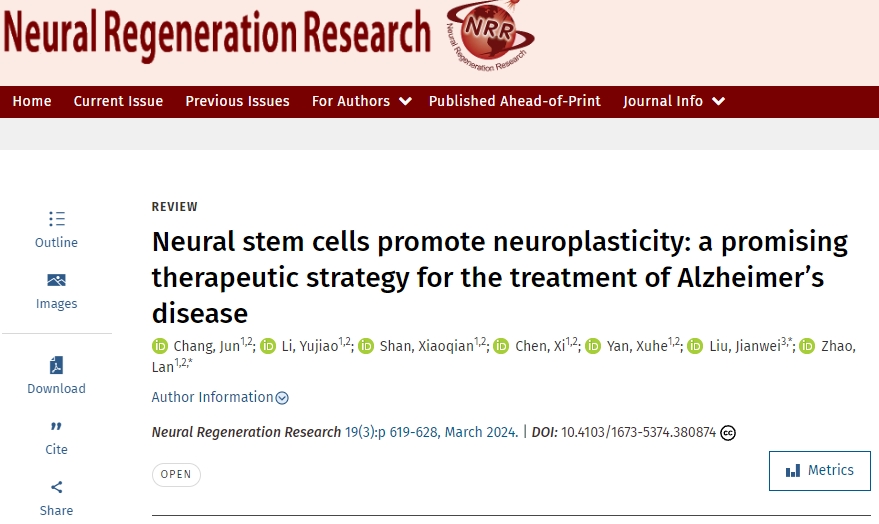 神經(jīng)干細(xì)胞促進(jìn)神經(jīng)可塑性:一種治療阿爾茨海默病的有前途的治療策略 神經(jīng)干細(xì)胞促進(jìn)神經(jīng)可塑性:一種治療阿爾茨海默病的有前途的治療策略