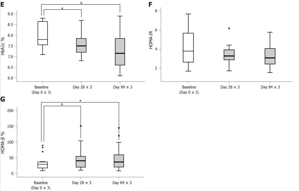 胰島β細胞功能 胰島β細胞功能