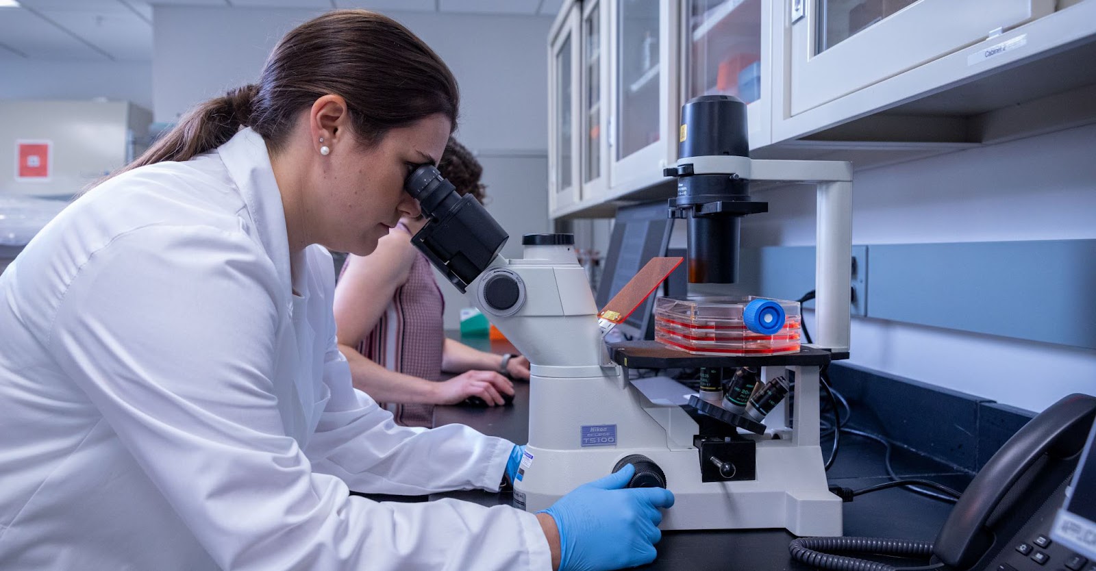 在干細胞用于治療之前，必須對其進行適當的激活和培養。