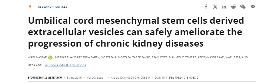 臍帶間充質干細胞衍生的細胞外囊泡可以安全地改善慢性腎臟疾病的進展