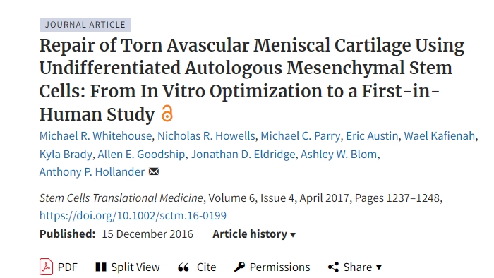 使用未分化自體間充質(zhì)干細胞修復(fù)撕裂的無血管半月板軟骨：從體外優(yōu)化到首次人體研究