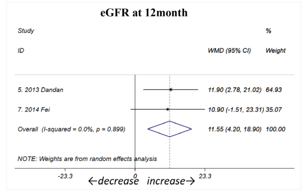12個(gè)月的eGFR均顯著改善。(如圖B2所示) 12個(gè)月的eGFR均顯著改善。(如圖B2所示)