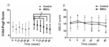 人臍帶間充質(zhì)干細胞（hUC-MSC）治療對肝硬化失代償期腹水患者腎功能、凝血功能及Child-Pugh和MELD評分的影響