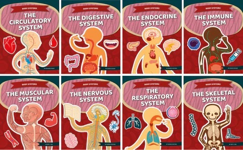 人體八大系統疾病有哪些？間充質干細胞治療的案例有哪些？