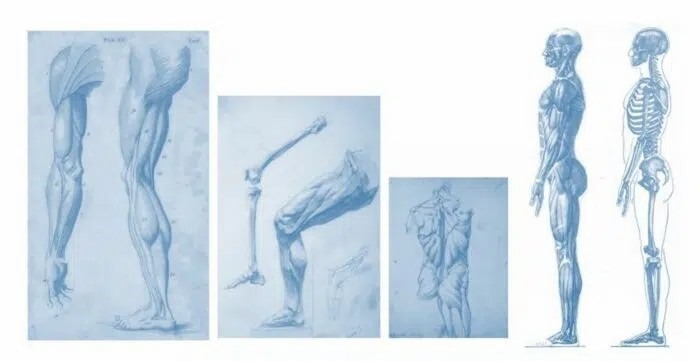 運動系統疾病如何治療?間充質干細胞的治療效果怎么樣? 運動系統疾病如何治療?間充質干細胞的治療效果怎么樣?