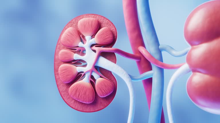 曙光已現！未來克服這3大障礙，間充質干細胞治療腎病將迎來新曙光！