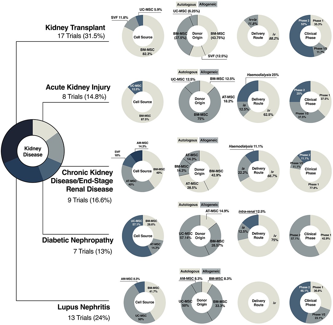 圖3：間充質干細胞療法在腎臟疾病中的臨床轉化