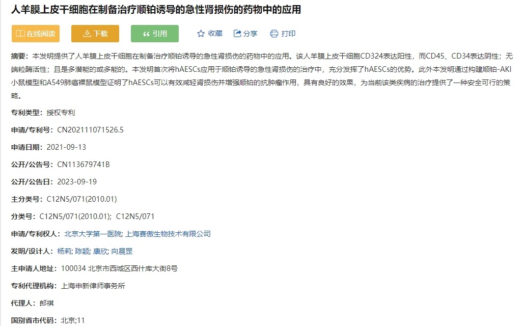 人羊膜上皮干細(xì)胞在制備治療順鉑誘導(dǎo)的急性腎損傷的藥物中的應(yīng)用 人羊膜上皮干細(xì)胞在制備治療順鉑誘導(dǎo)的急性腎損傷的藥物中的應(yīng)用