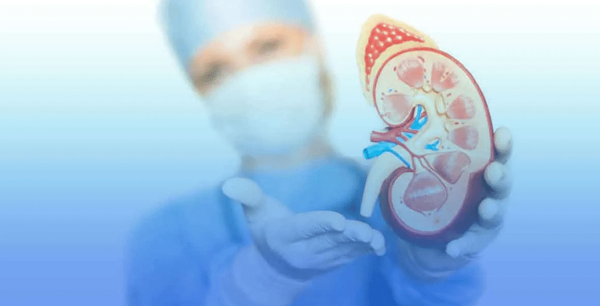 干細胞療法：為腎移植患者帶來減少免疫抑制劑、降低排斥風險的新曙光！