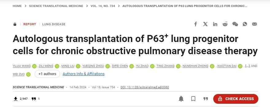 移植自體P63陽性肺前體細胞用于慢性阻塞性肺病的治療 移植自體P63陽性肺前體細胞用于慢性阻塞性肺病的治療