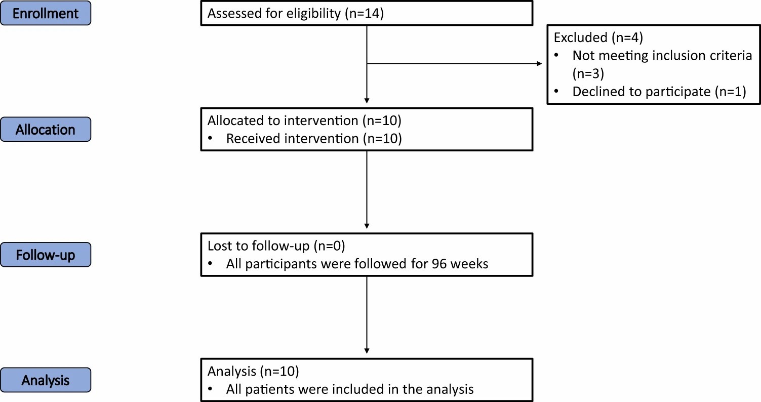 圖一：試驗各階段（招募、分配、跟進和分析）進展的流程圖