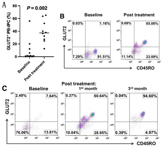 圖1：接受干細胞教育療法治療后，患者中GLUT2+CD45RO+PB-IPC 的百分比增加
