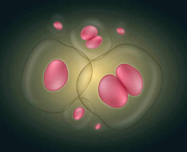 哪些類型的干細胞適合治療？