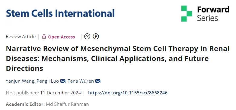 間充質(zhì)干細(xì)胞治療腎臟疾病的敘述性回顧:機(jī)制、臨床應(yīng)用和未來方向 最新綜述:干細(xì)胞治療腎臟疾病的機(jī)制、臨床應(yīng)用和未來方向