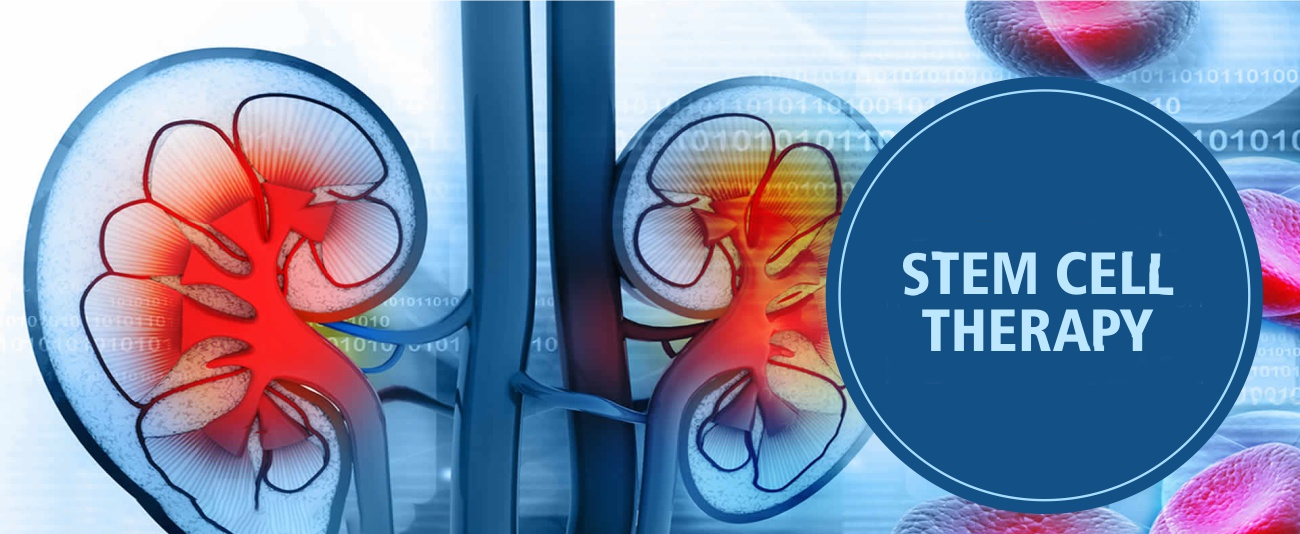 干細胞治療腎臟疾病的6大原理機制,您都了解嗎? 干細胞治療腎臟疾病的6大原理機制,您都了解嗎?