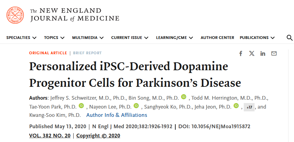 個(gè)性化 iPSC 衍生的多巴胺祖細(xì)胞用于治療帕金森病