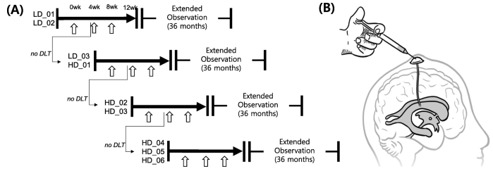 阿爾茨海默病患者 I 期方案研究流程圖 阿爾茨海默病患者 I 期方案研究流程圖