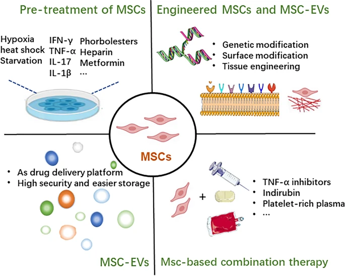 圖3:增強間充質干細胞治療效果的方法。 圖3:增強間充質干細胞治療效果的方法。