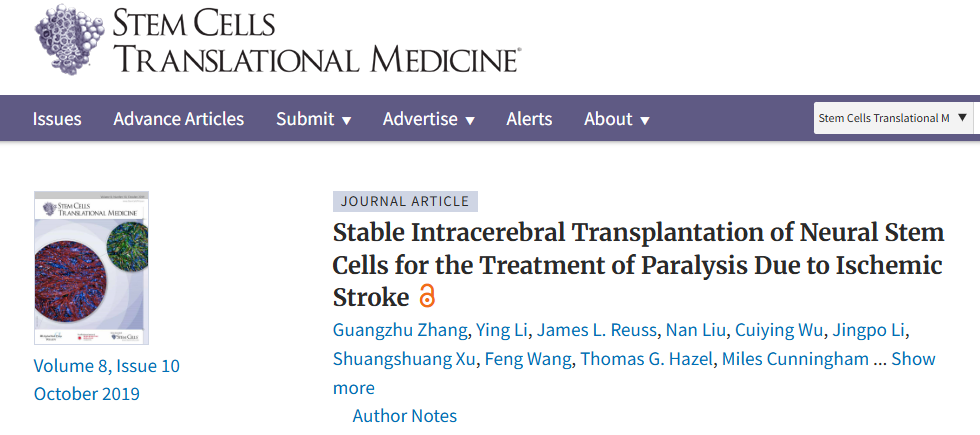 神經干細胞穩定腦內移植治療缺血性中風所致癱瘓