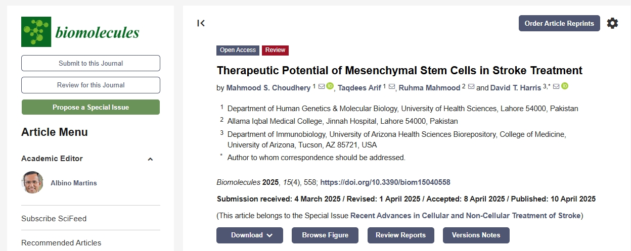 間充質(zhì)干細(xì)胞在中風(fēng)治療中的治療潛力 間充質(zhì)干細(xì)胞在中風(fēng)治療中的治療潛力