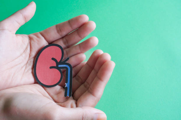 自體vs異體：不同來源的干細(xì)胞治療腎病患者的安全性有區(qū)別嗎？