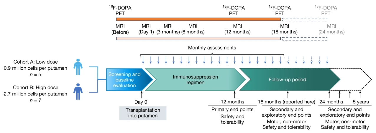 圖1:研究設計概要。患者按順序入組低劑量組和高劑量組。 圖1:研究設計概要。患者按順序入組低劑量組和高劑量組。