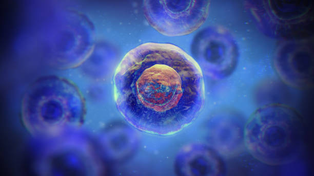 間充質(zhì)干細(xì)胞一針多少錢？2025年價格全景圖與避坑指南