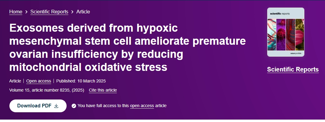 缺氧間充質(zhì)干細胞來源的外泌體通過降低線粒體氧化應激改善卵巢功能不全