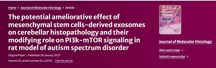 間充質(zhì)干細(xì)胞衍生的外泌體對(duì)自閉癥譜系障礙大鼠小腦組織病理學(xué)的潛在改善作用及其對(duì) PI3k-mTOR 信號(hào)傳導(dǎo)的調(diào)節(jié)作用 間充質(zhì)干細(xì)胞衍生的外泌體對(duì)自閉癥譜系障礙大鼠小腦組織病理學(xué)的潛在改善作用及其對(duì) PI3k-mTOR 信號(hào)傳導(dǎo)的調(diào)節(jié)作用