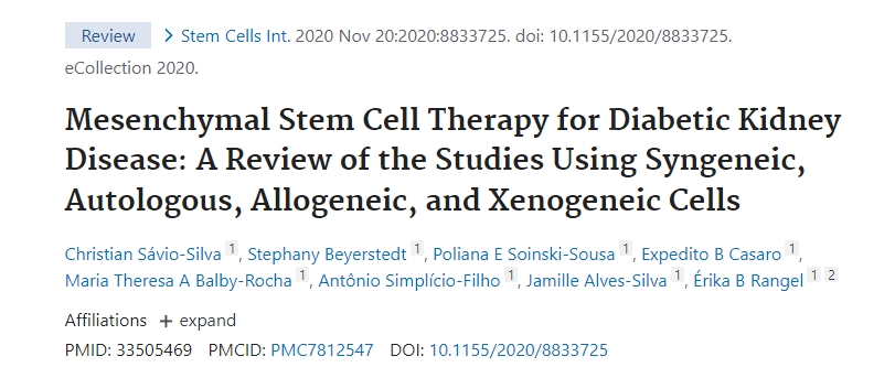 間充質(zhì)干細(xì)胞治療糖尿病腎病:同基因、自體、同種異體和異種異體細(xì)胞研究的回顧 間充質(zhì)干細(xì)胞治療糖尿病腎病:同基因、自體、同種異體和異種異體細(xì)胞研究的回顧