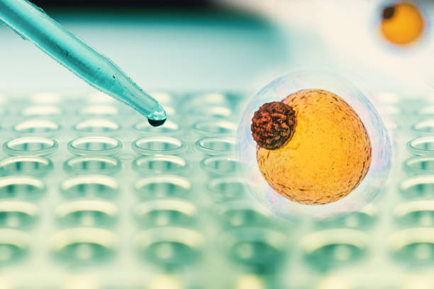 人工干細胞治療腎病的臨床應用 人工干細胞治療腎病的臨床應用