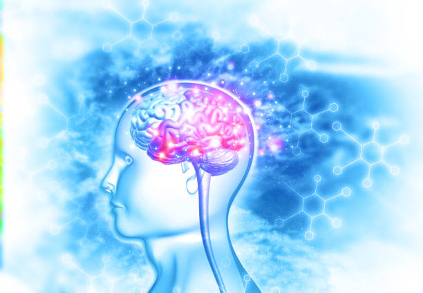 腦出血治療新希望：間充質干細胞治療臨床安全有效？最新證據來了