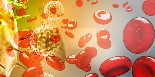 上海有哪些醫院開展了干細胞治療血液病與腫瘤的研究? 上海有哪些醫院開展了干細胞治療血液病與腫瘤的研究?