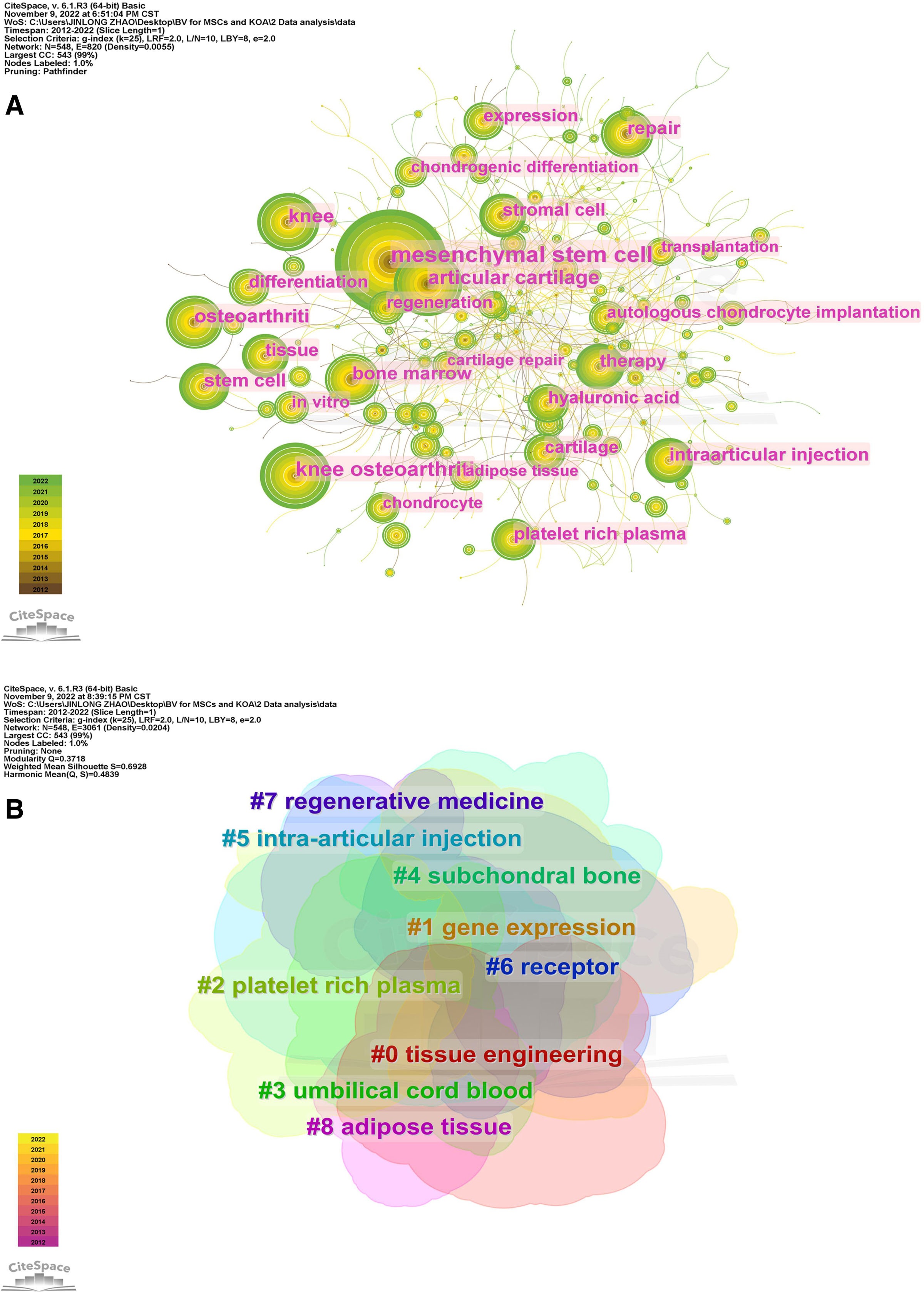 圖5：CiteSpace可視化MSCs與KOA研究的關鍵詞。（B）關鍵詞聚類分析。