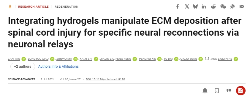 整合水凝膠可控制脊髓損傷后的ECM沉積，從而通過神經元中繼實現特定的神經重新連接