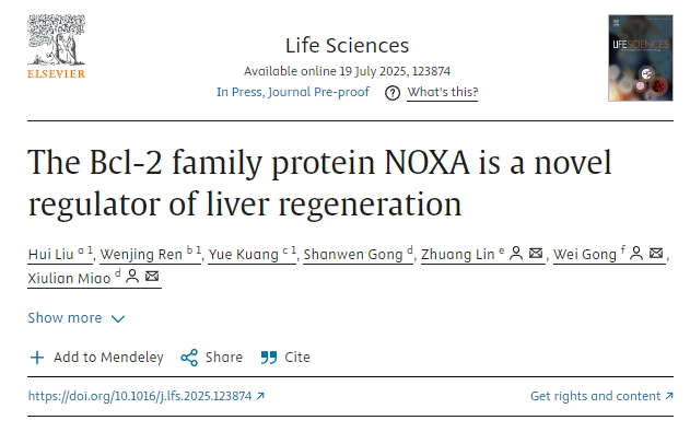 Bcl-2家族蛋白NOXA是一種新型的肝臟再生調節劑 Bcl-2家族蛋白NOXA是一種新型的肝臟再生調節劑