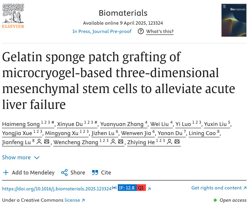 明膠海綿貼片移植微低溫凝膠基三維間充質干細胞以緩解急性肝衰竭 明膠海綿貼片移植微低溫凝膠基三維間充質干細胞以緩解急性肝衰竭