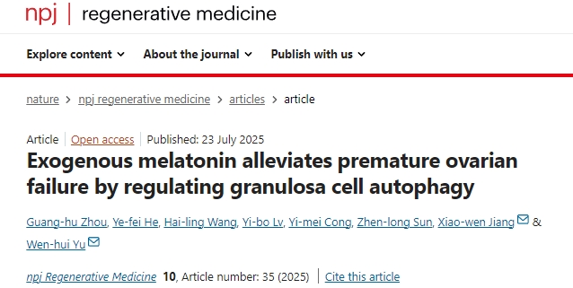 外源性褪黑素通過調控顆粒細胞自噬緩解卵巢早衰的機制研究 外源性褪黑素通過調控顆粒細胞自噬緩解卵巢早衰的機制研究