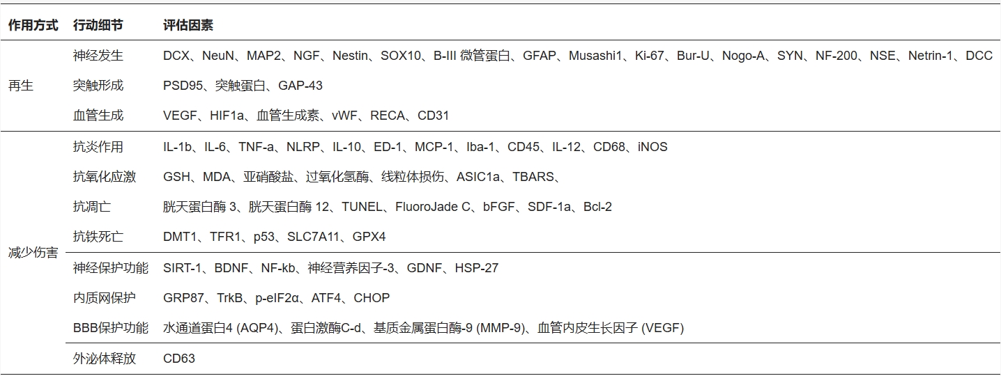 表2:干細胞移植促進神經(jīng)再生和血管新生的機制 表2:干細胞移植促進神經(jīng)再生和血管新生的機制
