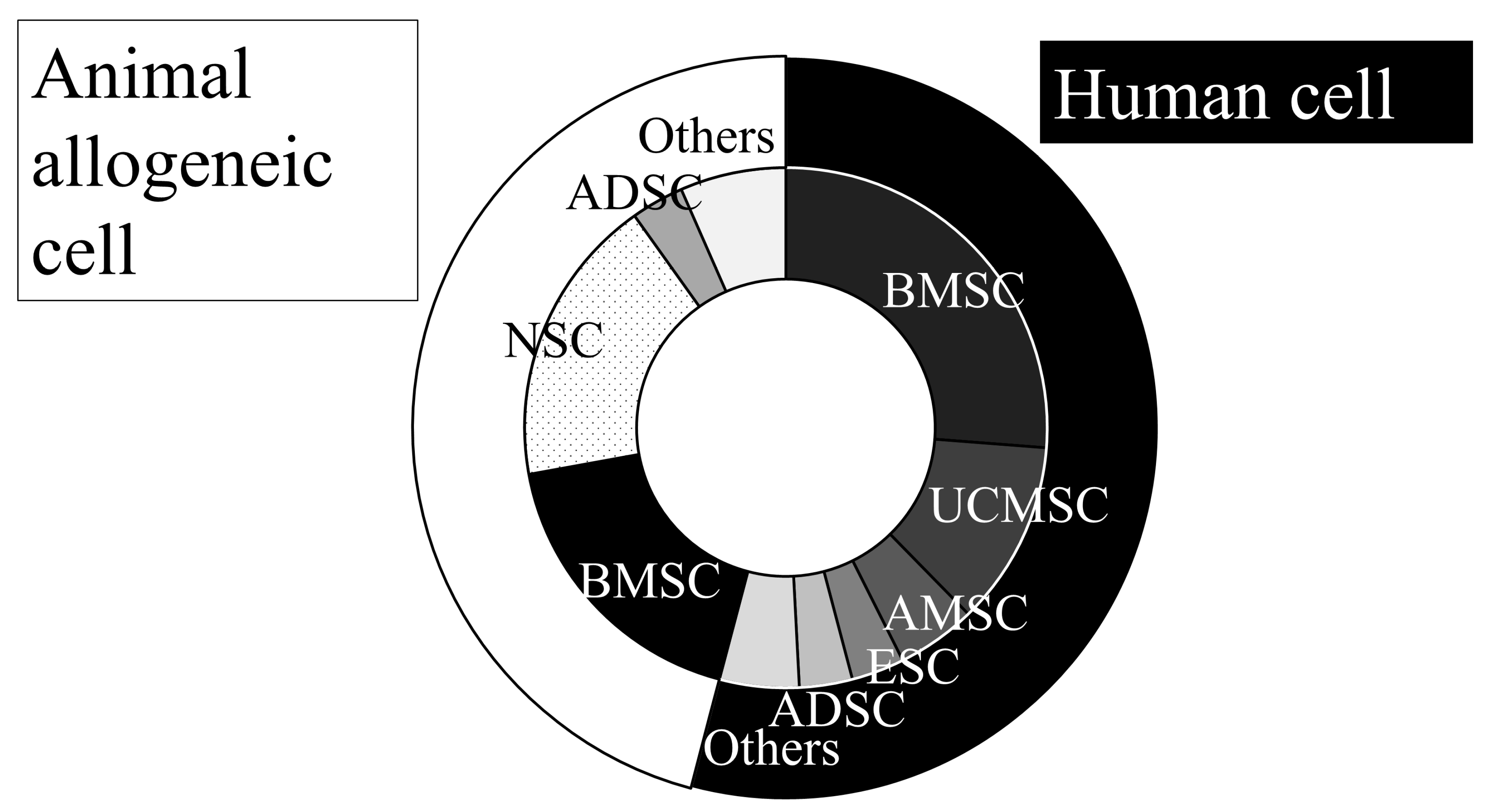 圖1:動脈內(nèi)移植動物實驗所用的細胞來源。 圖1:動脈內(nèi)移植動物實驗所用的細胞來源。