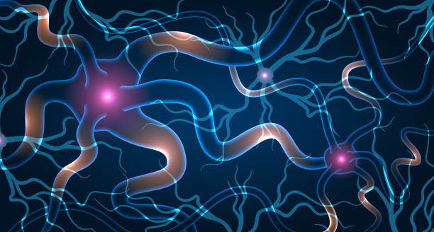 神經(jīng)干細(xì)胞移植效果如何?2025最新臨床進(jìn)展與患者案例深度解析 神經(jīng)干細(xì)胞移植效果如何?2025最新臨床進(jìn)展與患者案例深度解析