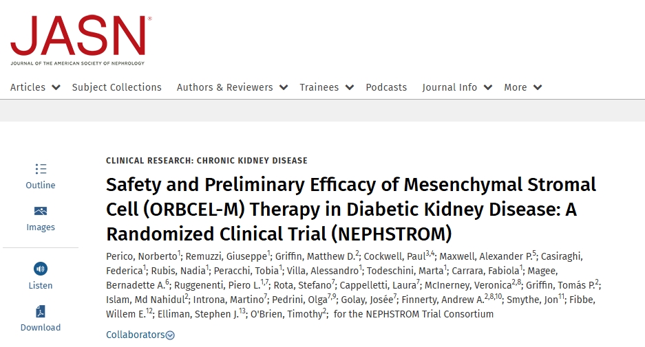 間充質基質細胞(ORBCEL-M)治療糖尿病腎病的安全性和初步療效:一項隨機臨床試驗(NEPHSTROM) 間充質基質細胞(ORBCEL-M)治療糖尿病腎病的安全性和初步療效:一項隨機臨床試驗(NEPHSTROM)