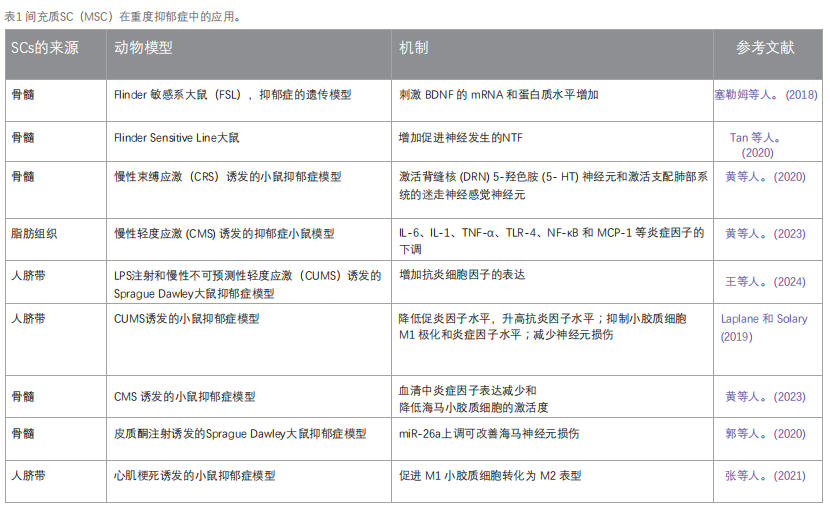 干細胞療法 干細胞療法