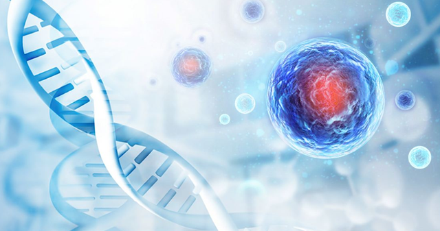 間充質干細胞療法 間充質干細胞療法